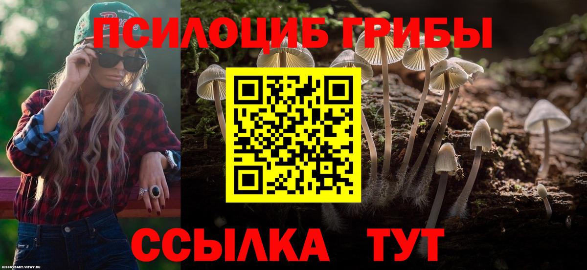 Псилоцибиновые грибы MAGIC MUSHROOMS Дедовск