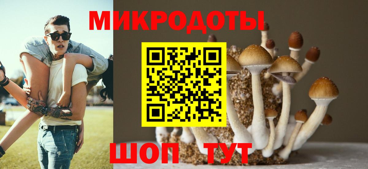 Галлюциногенные грибы ЛСД  Вход с VPN  купить наркотики сайты  Дедовск 